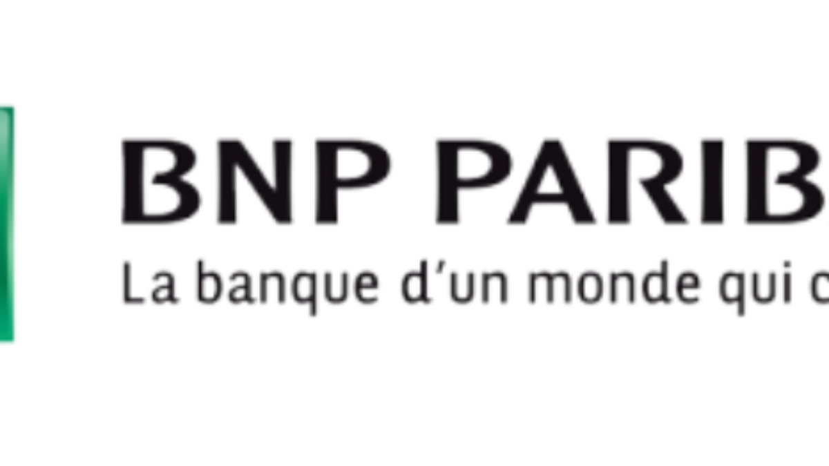 BNP Solutions Vector Logo - (.SVG + .PNG) - GetVectorLogo.Com